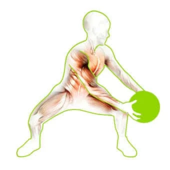 '- Balls Medicine 8 lbs PBLX 60030